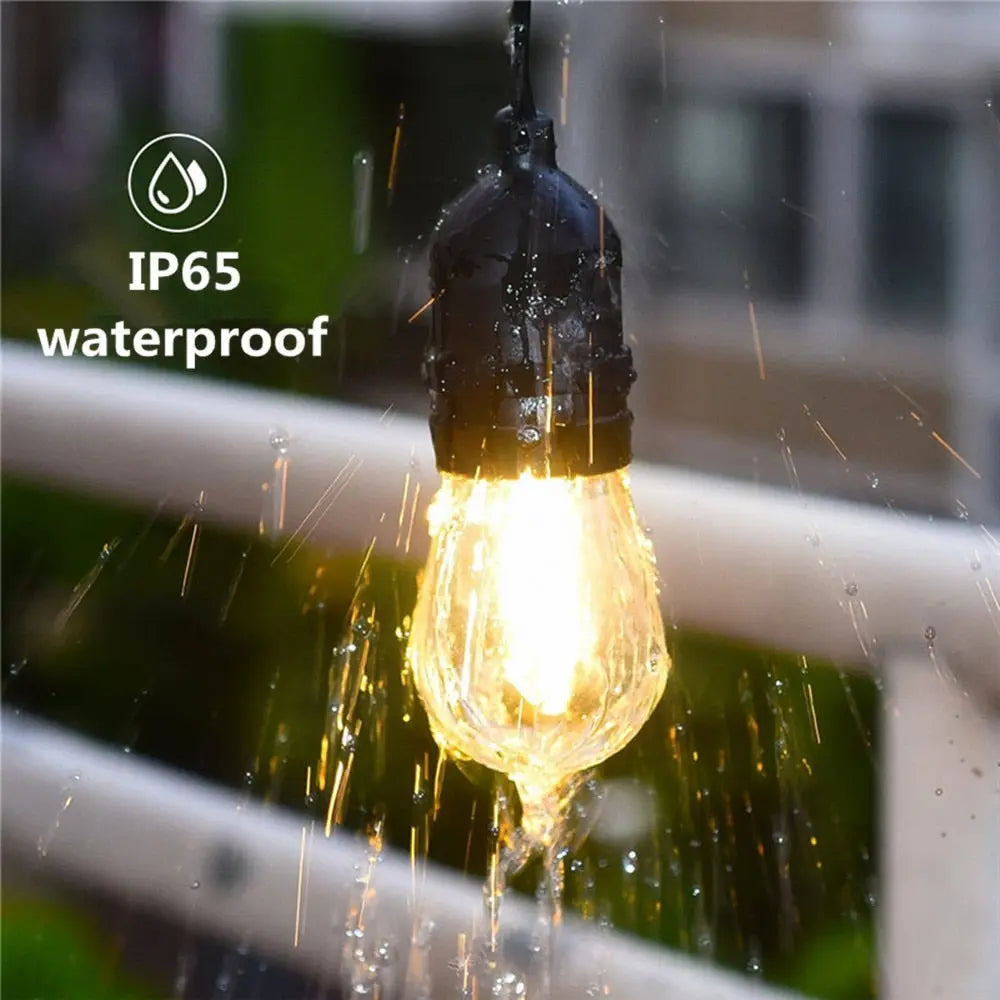 LED String Lights ChandeliersLife®
