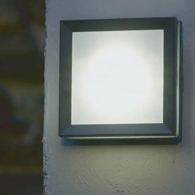 Egil 1 Light Wall/Ceiling Lantern Elstead Lighting