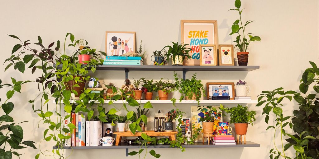 Decorative wall shelf with plants and artistic items.