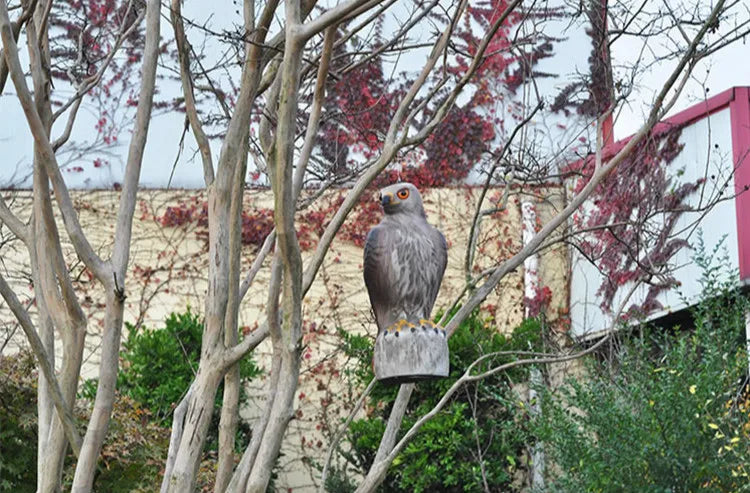 Lifelike Hawk Decoy