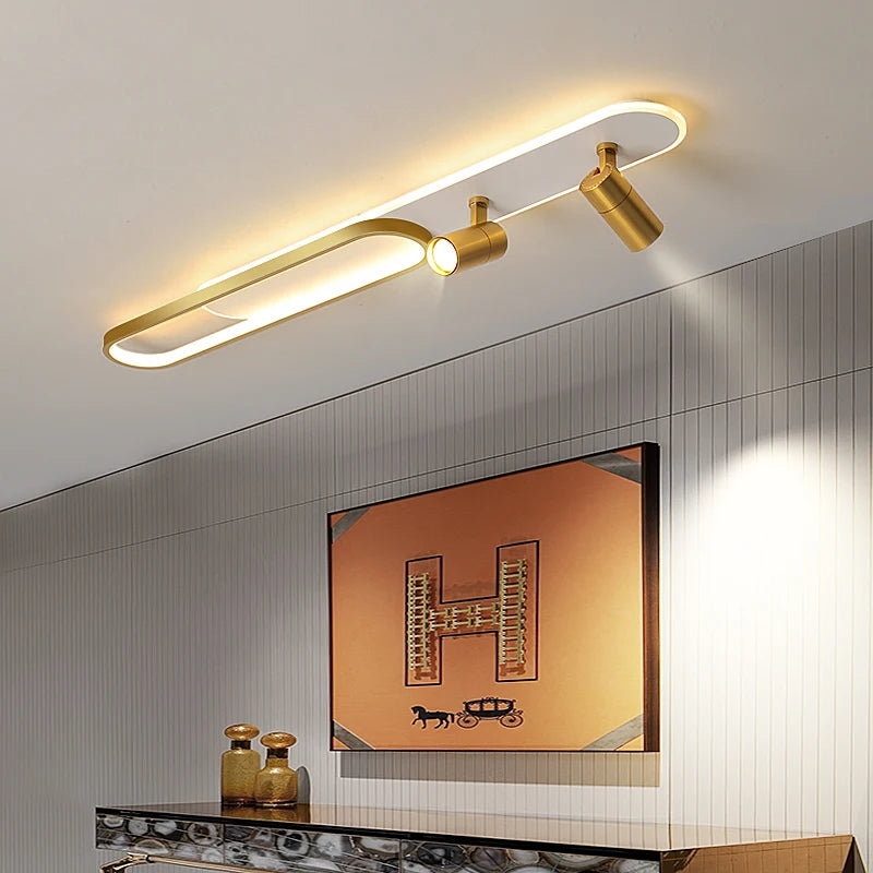 Ceiling Lights With Spotlight