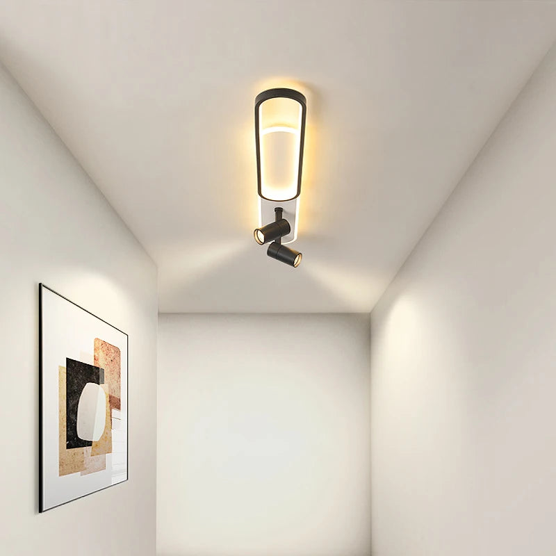 Ceiling Lights With Spotlight