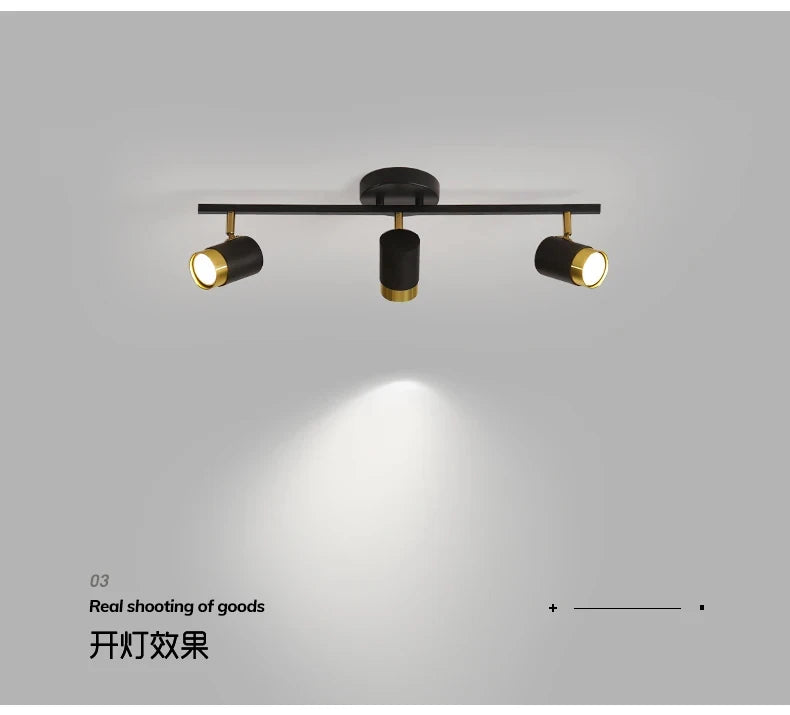 Rail Track Ceiling Lights