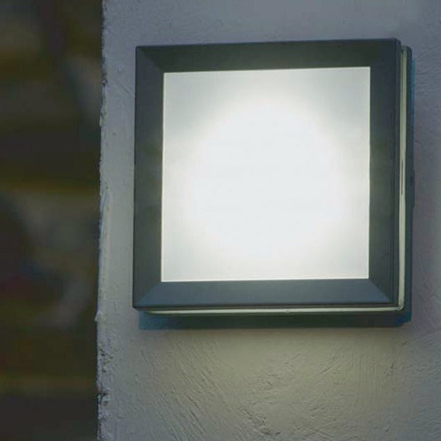 Egil 1 Light Wall/Ceiling Lantern
